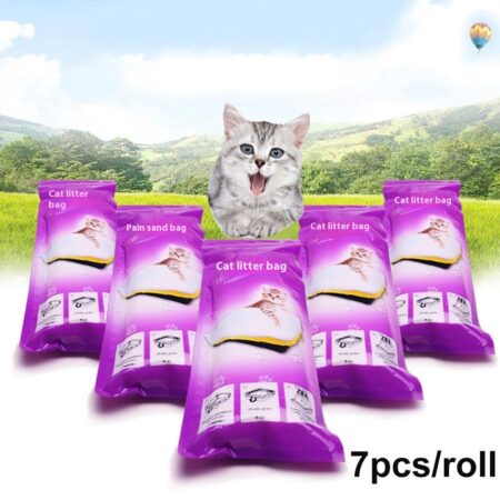 5ec8db5d-c598-411f-9954-4747df4a339f_trans.jpeg