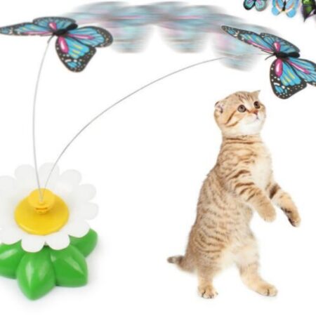 5fd79fa3-936d-4613-b028-b202e65e3674.jpg